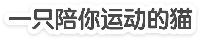 一只陪你运动的猫